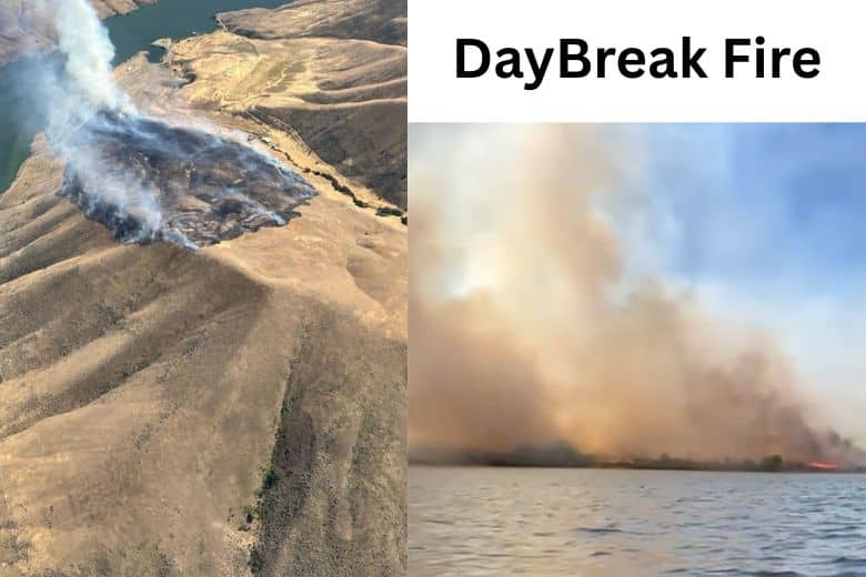 DayBreak-Fire.jpg