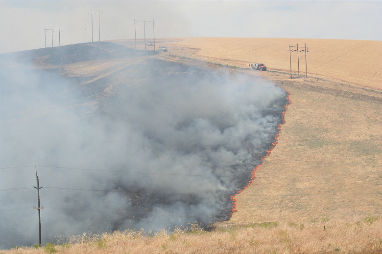 Crews battling large field fire near Milton-Freewater