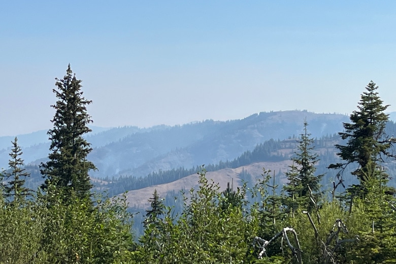 Fire crews battle Paradise Fire to safeguard Walla Walla drinking supply