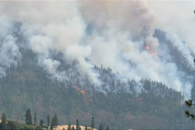 Moderate weather aids firefighters battling Hagen, Paradise, Horse Ridge Fires