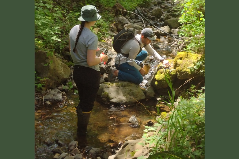 Kooskooskie Commons secures $7,200 Wildhorse Foundation grant for salmon stream protection